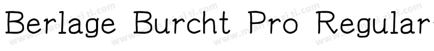 Berlage Burcht Pro Regular字体转换